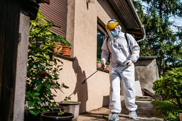 Best Pest Prevention Services  in Kaaawa, HI